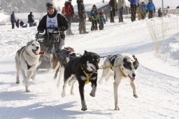 Lenk 2012 SM